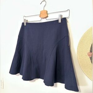 Banana Republic Dark Blue Skater Skirt